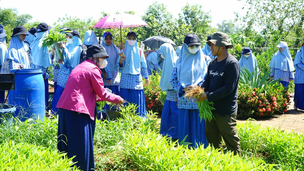 OSIS Menyatu dengan Alam: Kunjungan Inspiratif ke Pusat Pendidikan Pertanian